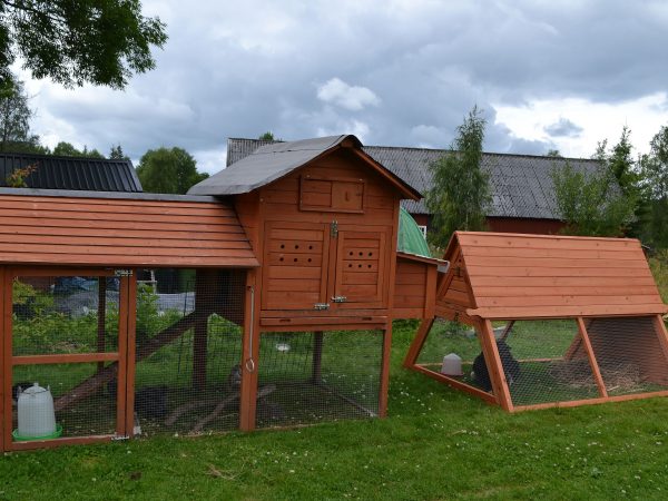 Färdigmonterade små hönshus för kycklingar.