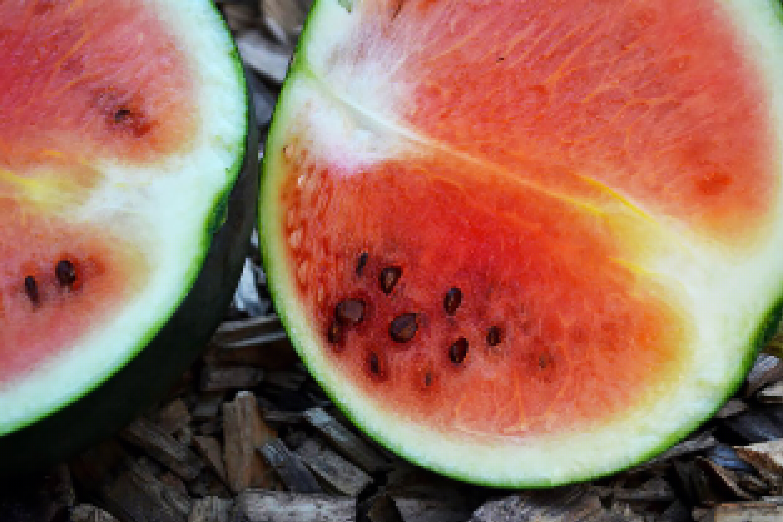 Meloninspiration Sara Bäckmo