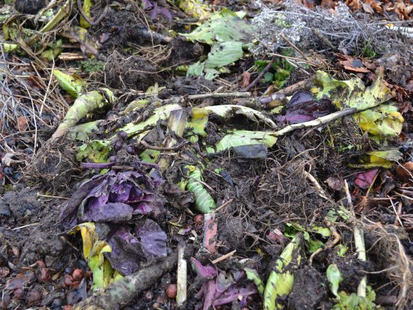 En jord med gamla rester av grönsaker och blad på.