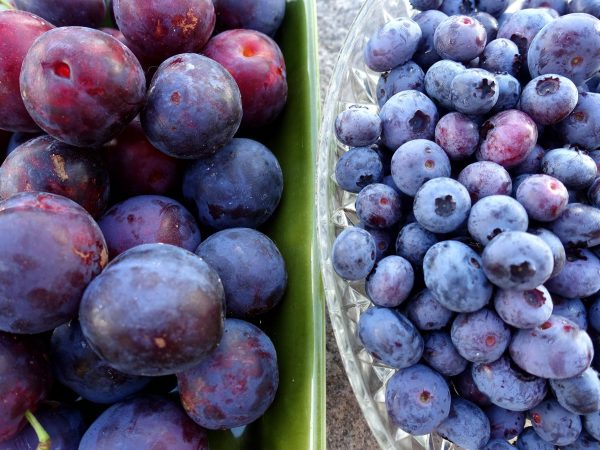 Två skålar bredvid varandra med plommon och blåbär i.