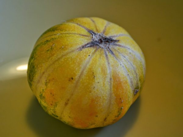 En liten melon ligger på ett fat.