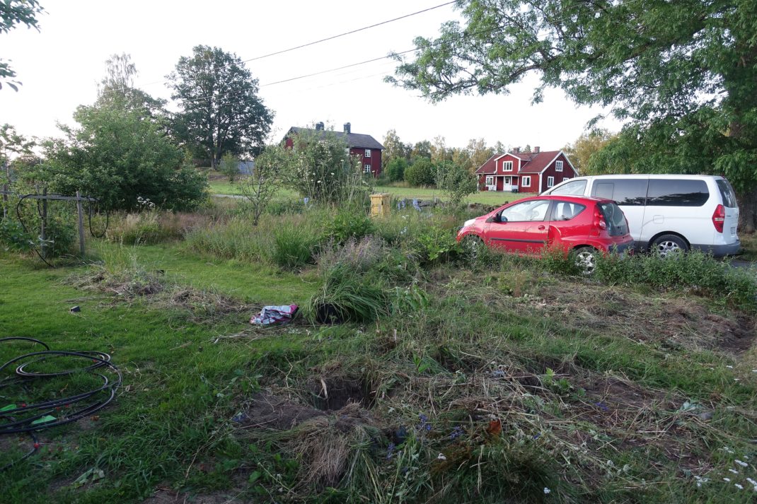 En igenvuxen del av en trädgård, med massa ogräs och två bilar som står i bakgrunden. A neglected part of my lot, new garden beds.