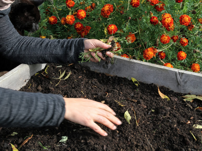 Användbara pallkragar - 4 tips - Sara Bäckmo