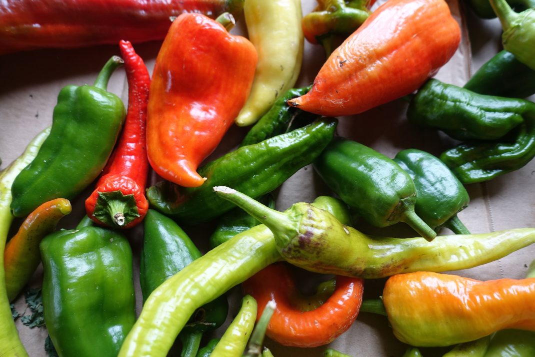 Närbild på gröna och röda paprikor på en kartongbit. Close-up of red and green bell peppers. 