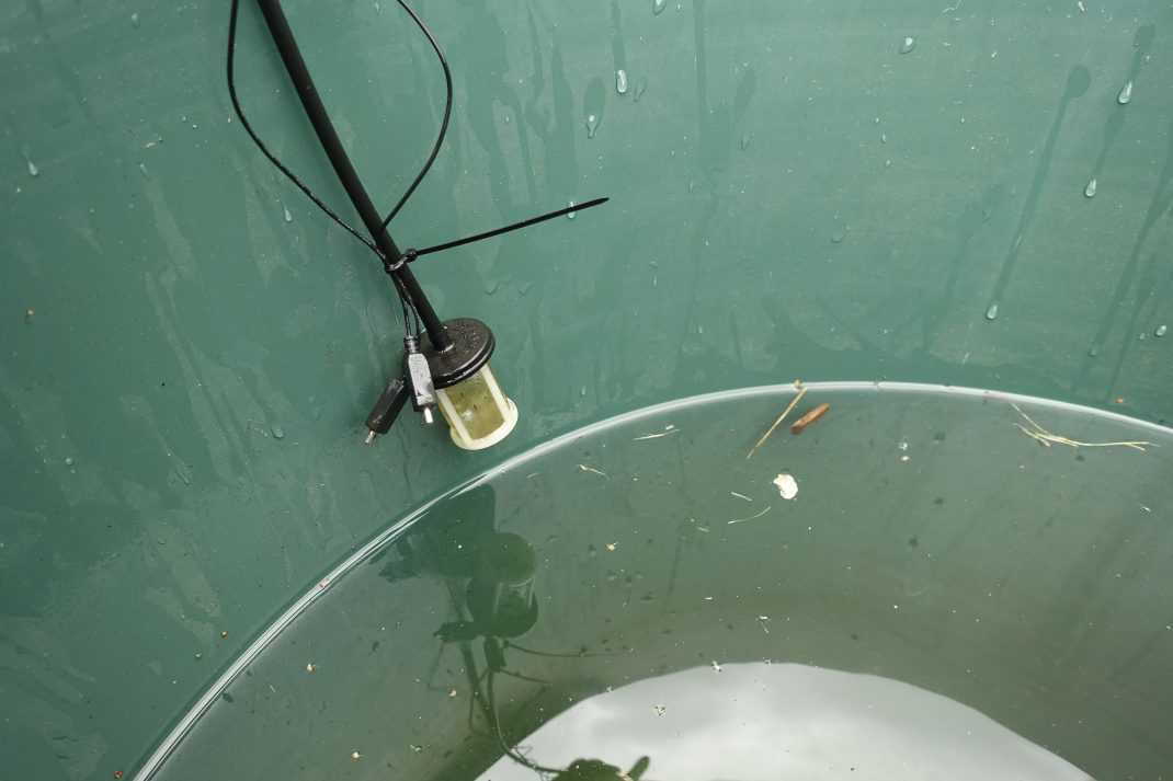 En liten slang med filter hänger ner i en vattentunna.