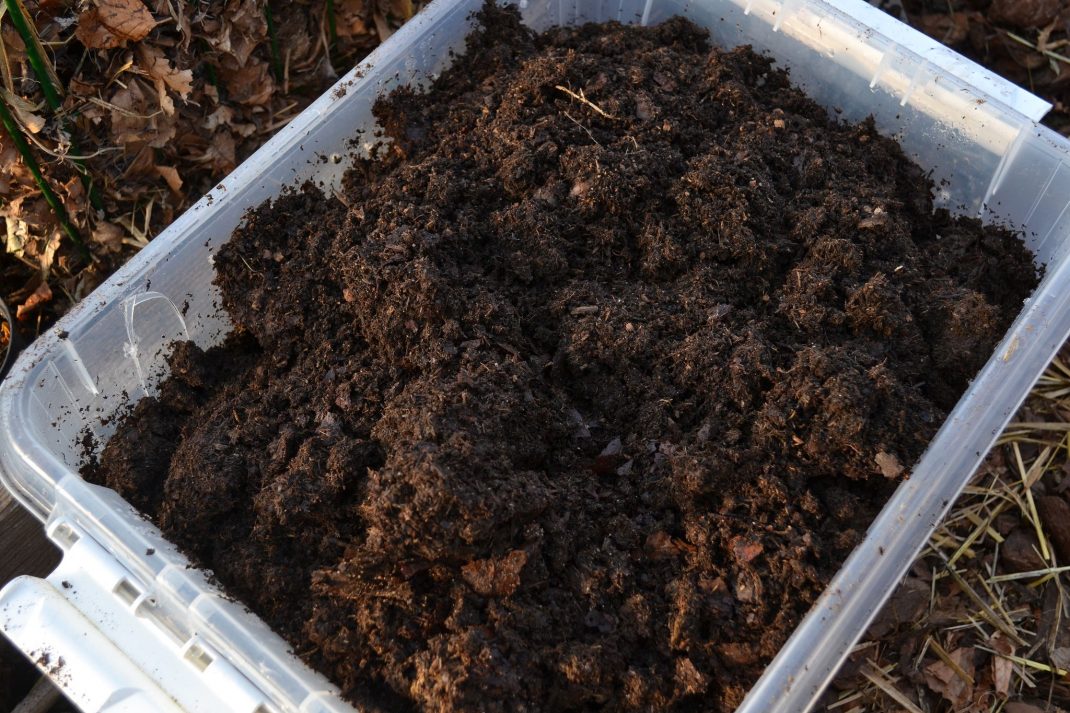 Närbild på back med komposterad gödsel, svart som jord. 