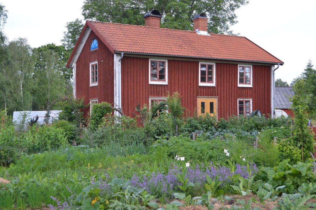 Ett rött hus med köksträdgård framför. 