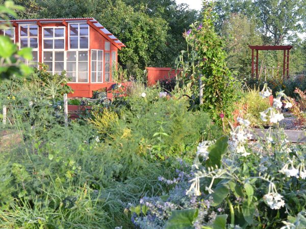 Köksträdgård med blommor och rött växthus bland grönska.