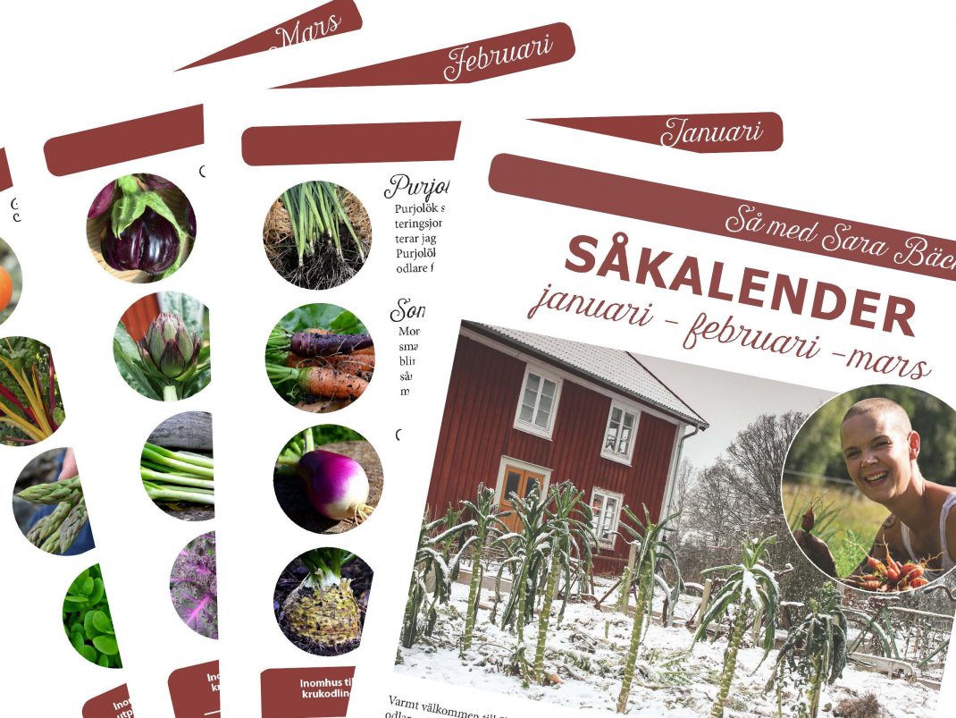 Såkalender januari, februari och mars