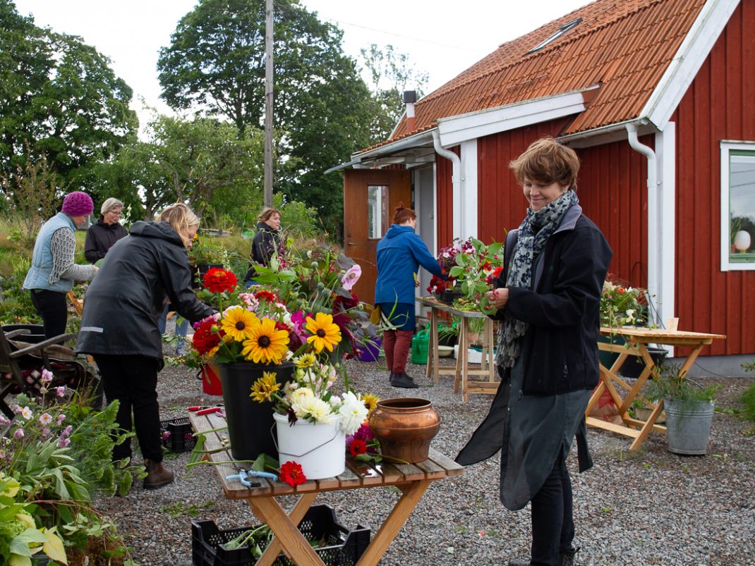 Workshop i blomsterarrangemang.