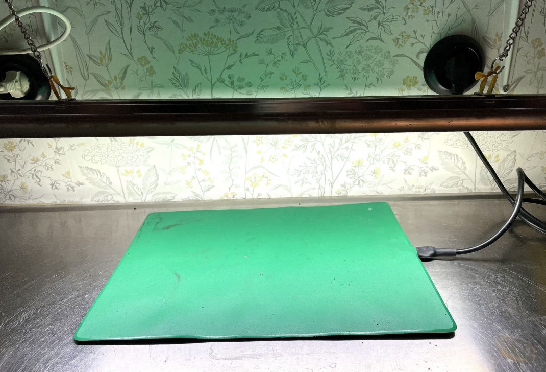 En platt grön matta på bänk av rostfritt stål. 