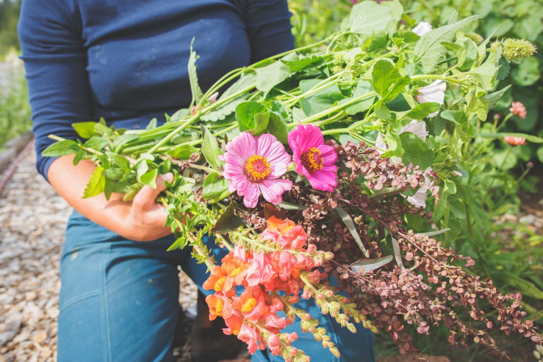 Sara med ett fång blommor