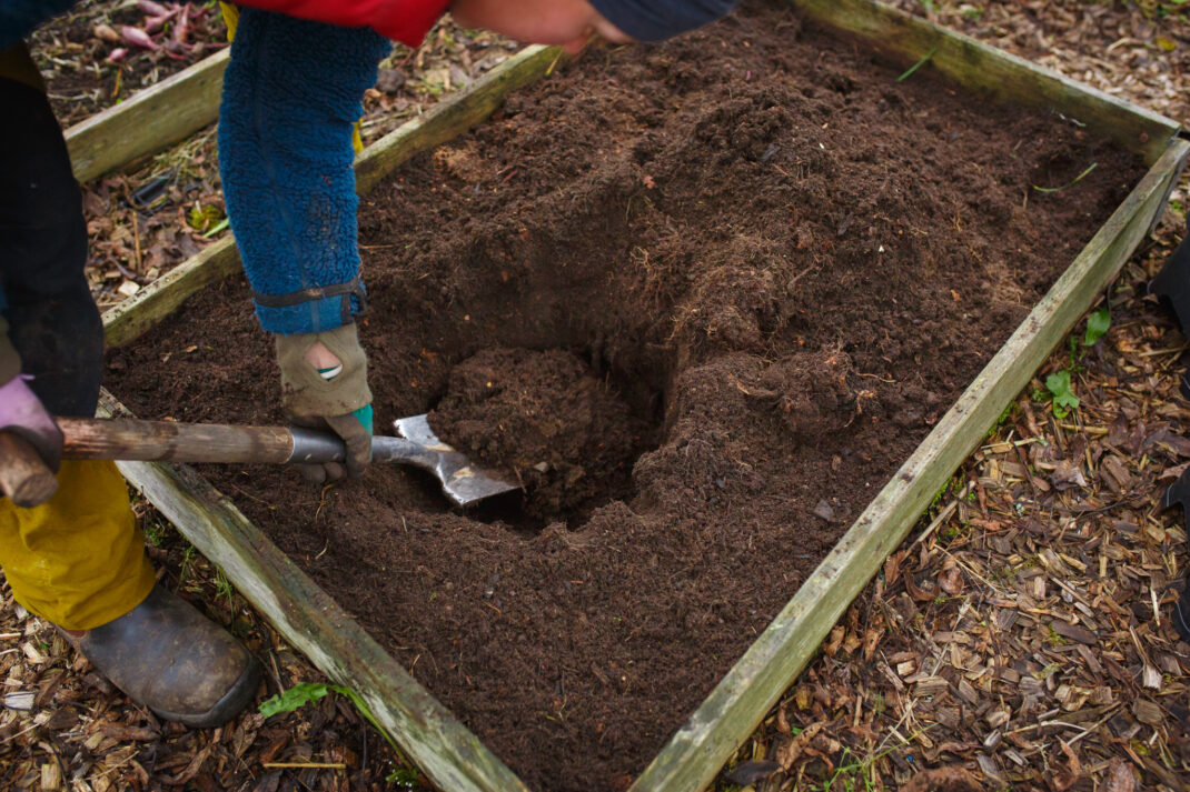 Sara gräver ett hål i pallkragen